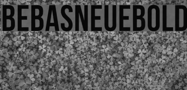 BebasNeueBold Font examples