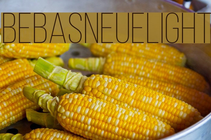 BebasNeueLight Font examples
