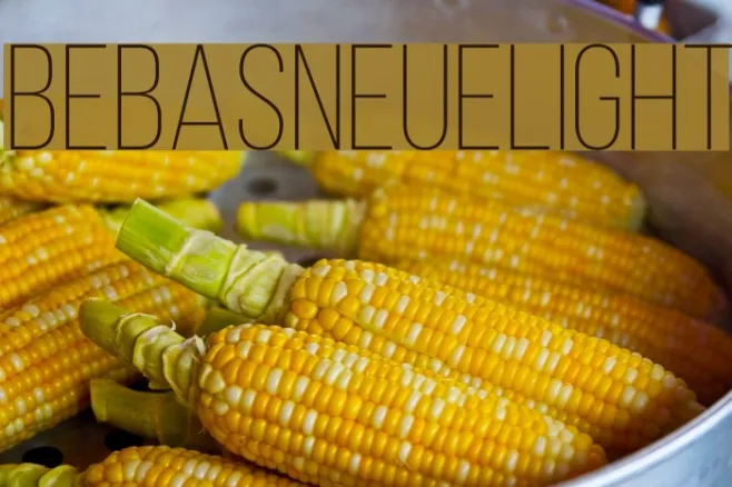 BebasNeueLight Example 1
