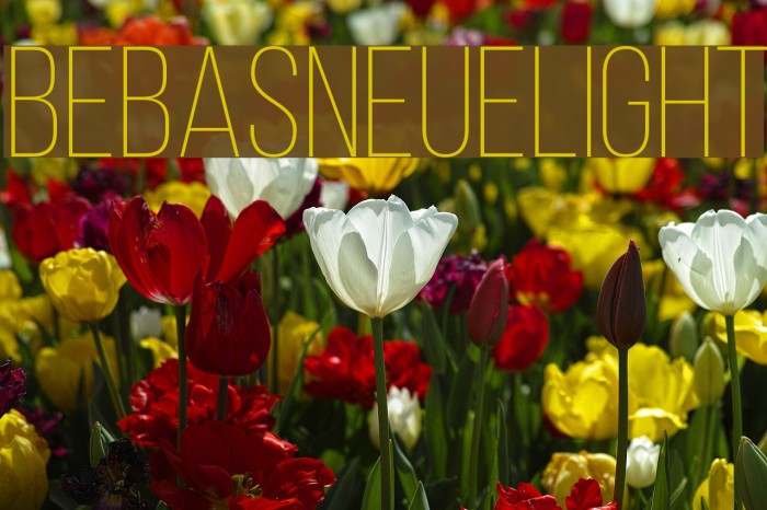 BebasNeueLight Font examples