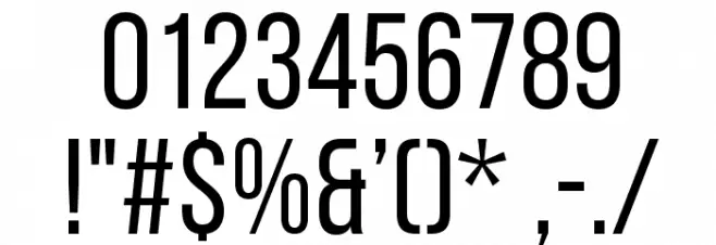 BebasNeueRegular フォント その他の文字
