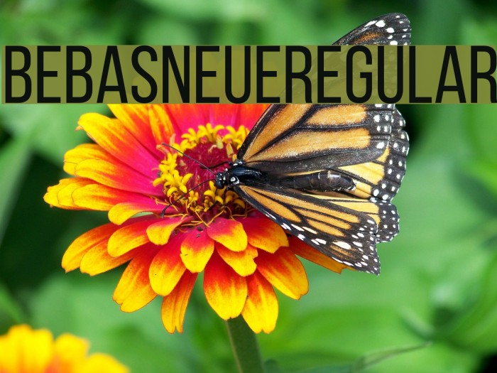 BebasNeueRegular Font examples