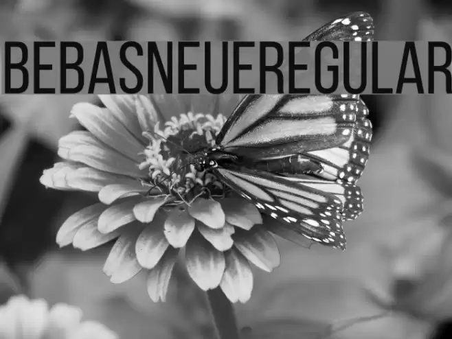 BebasNeueRegular フォント examples