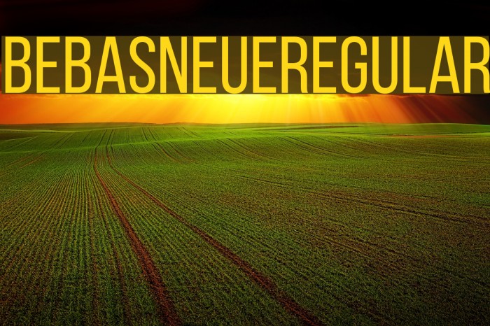 BebasNeueRegular Font examples