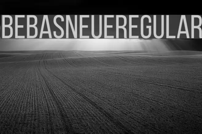 BebasNeueRegular フォント examples