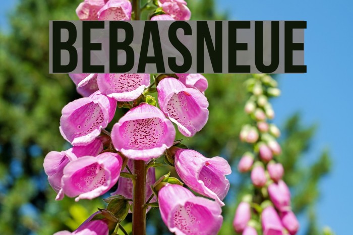 BebasNeue Font examples