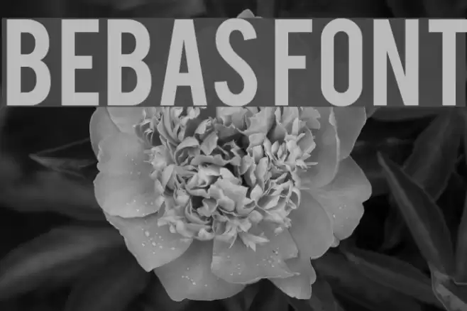 Bebas Font examples