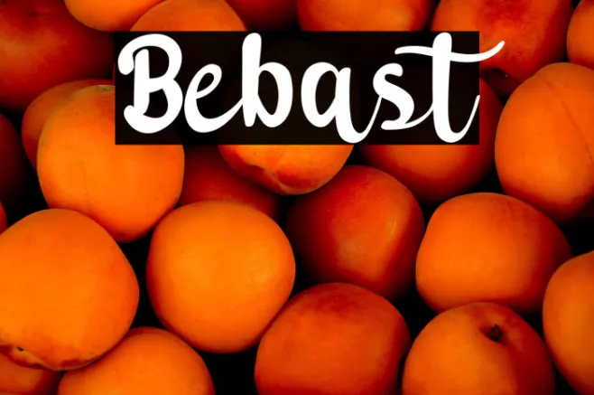 Bebast Example 1