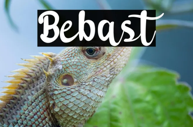 Bebast Example 3