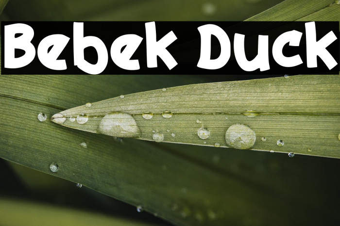 Bebek Duck Example 1