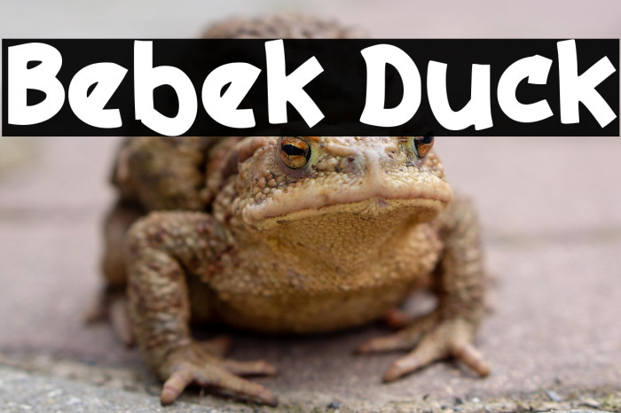 Bebek Duck Example 2