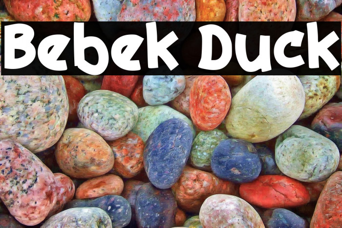 Bebek Duck Example 3