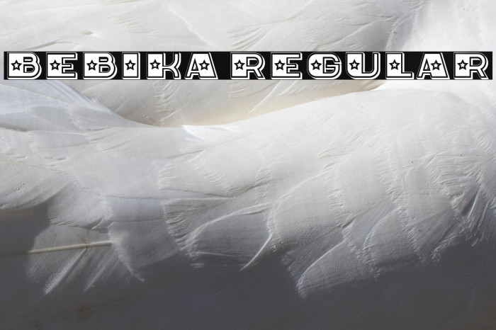 Bebika Regular Example 2