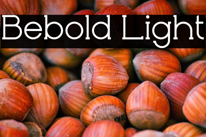 Bebold Light Example 1