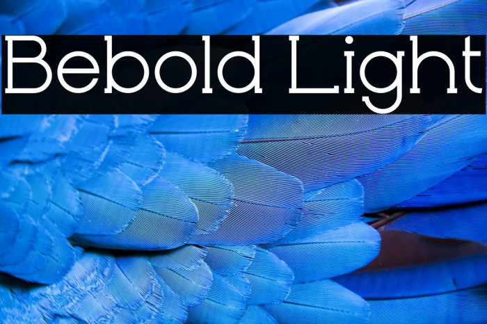Bebold Light Example 2