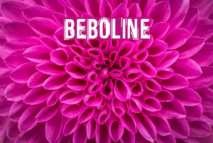 Beboline Шрифта examples