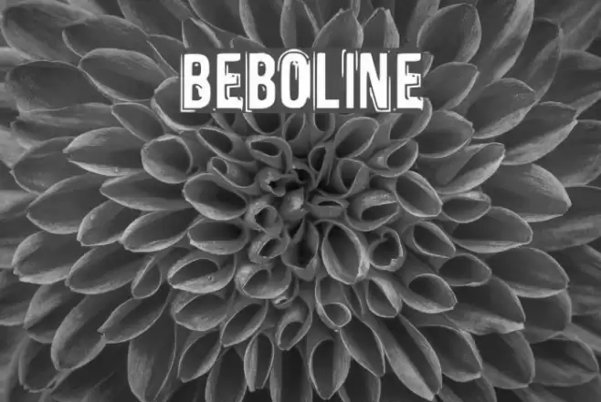 Beboline Шрифта examples