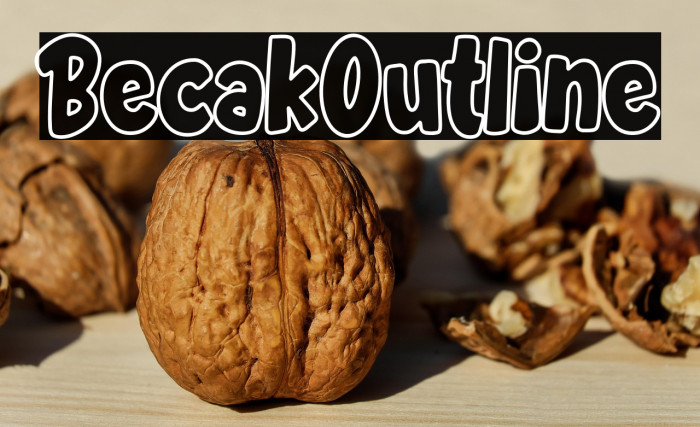 BecakOutline Example 3