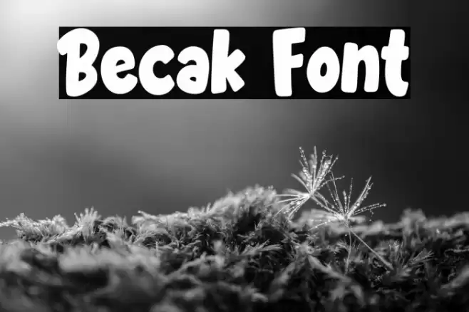 Becak Font examples