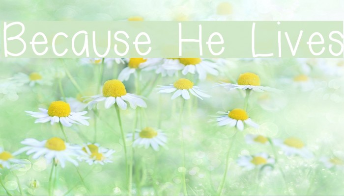 Because He Lives Font examples