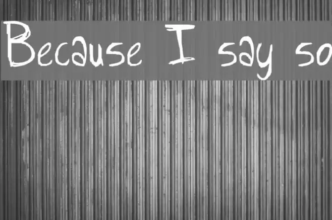 Because I say so Font examples