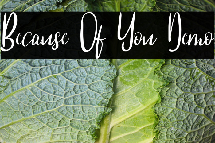 Because Of You Demo Example 3