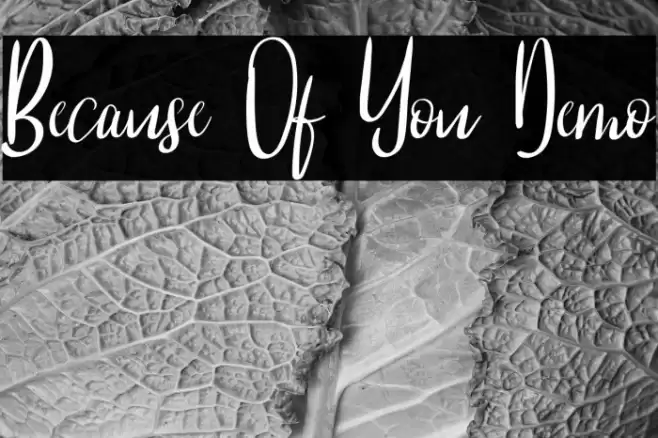 Because Of You Demo Font examples