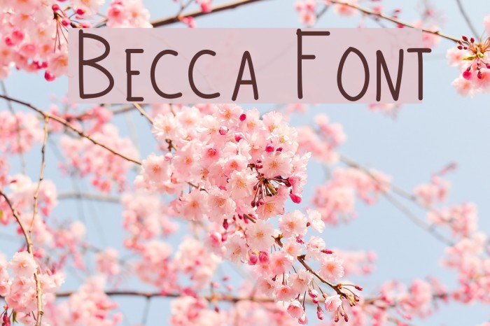 Becca Шрифта examples