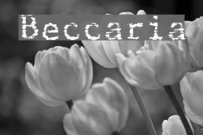 Beccaria Font examples
