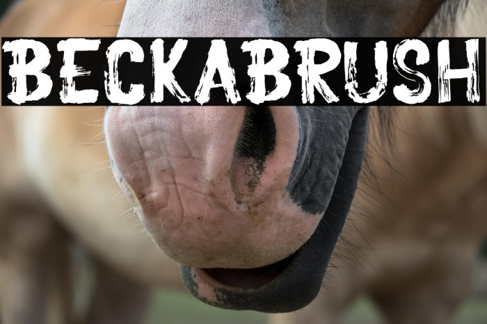 BeckaBrush Example 1