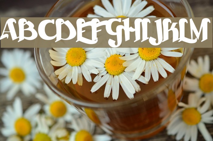 Beckasin Font examples