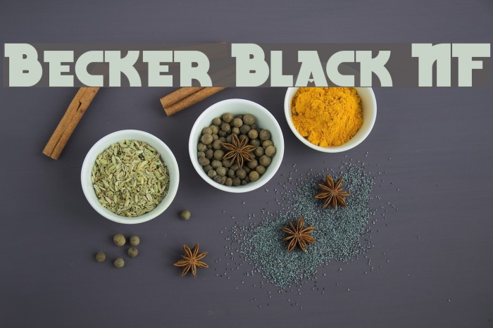 Becker Black NF फ़ॉन्ट examples
