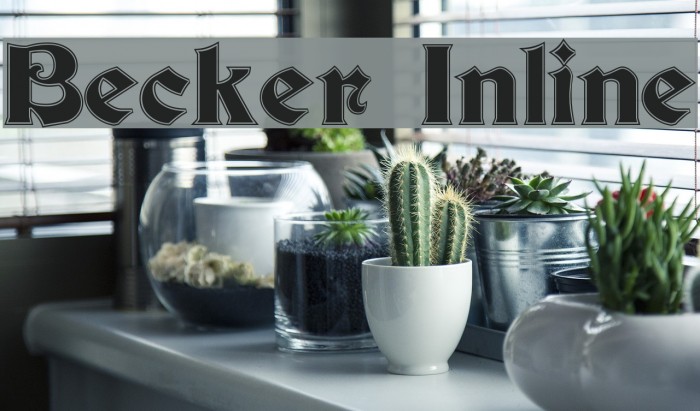 Becker Inline Example 1