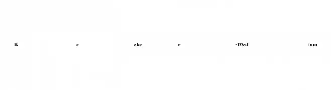 Becker-Medium  Free Fonts Download