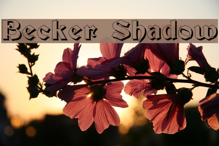 Becker Shadow Font examples