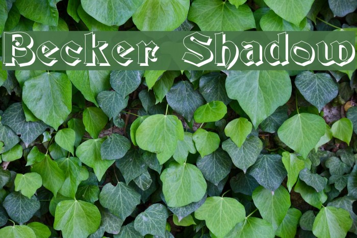 Becker Shadow Font examples
