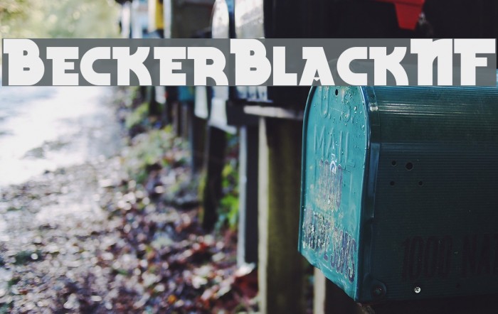 BeckerBlackNF Example 1