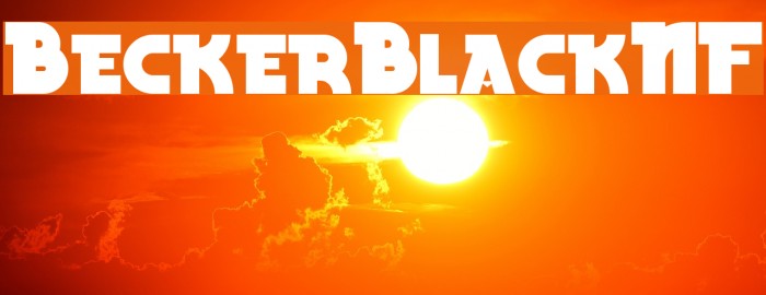 BeckerBlackNF Example 3