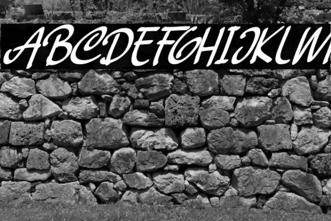 Beckhand Italic Font examples