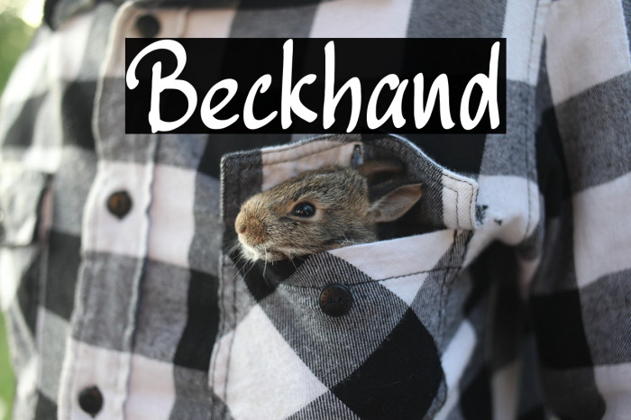 Beckhand Example 1
