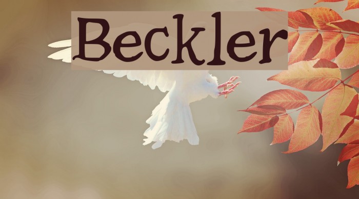Beckler Font examples