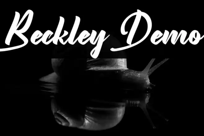 Beckley Demo Font examples