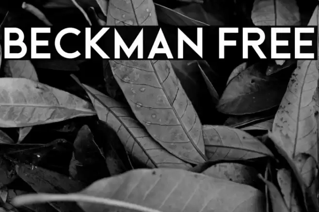Beckman Free Font examples