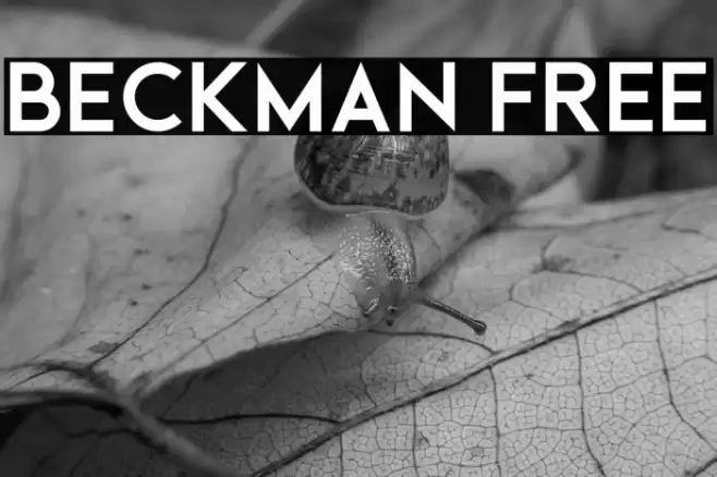 Beckman Free Font examples