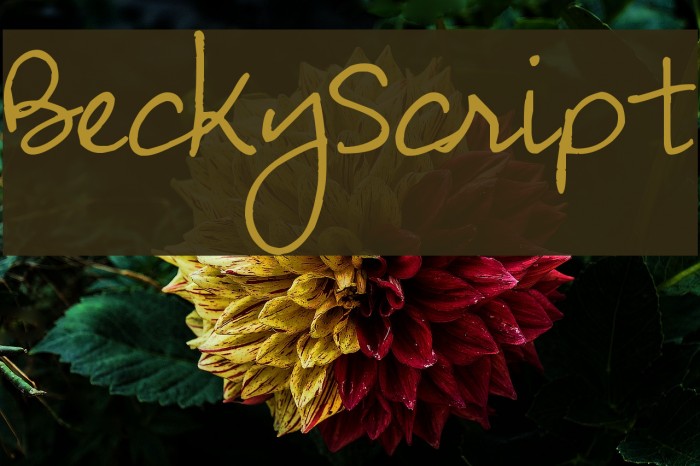BeckyScript Example 1