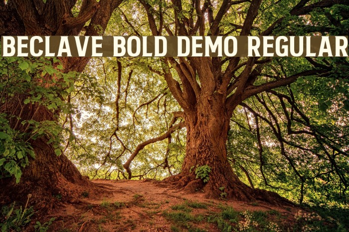 Beclave Bold DEMO Regular Font examples