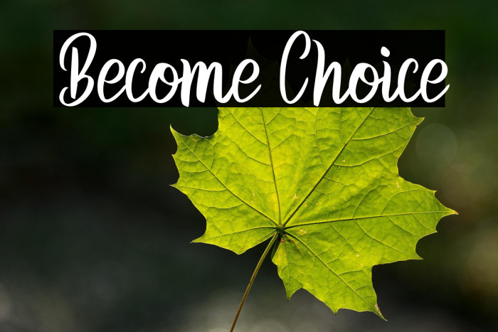 Become Choice Example 3