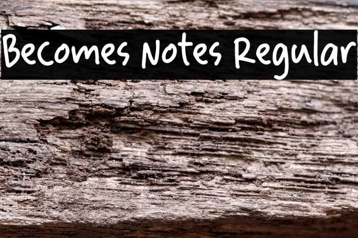 Becomes Notes Regular Example 2