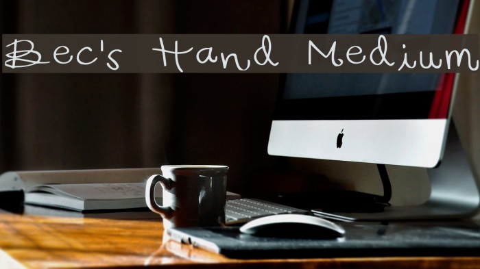 Bec's Hand Medium Font examples