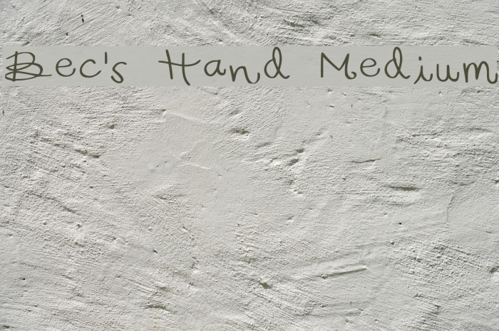 Bec's Hand Medium Font examples
